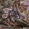 1 Yard Pink Lilac Gray Floral Silk Rayon Burnout Satin Fabric for Blouses 45" Width